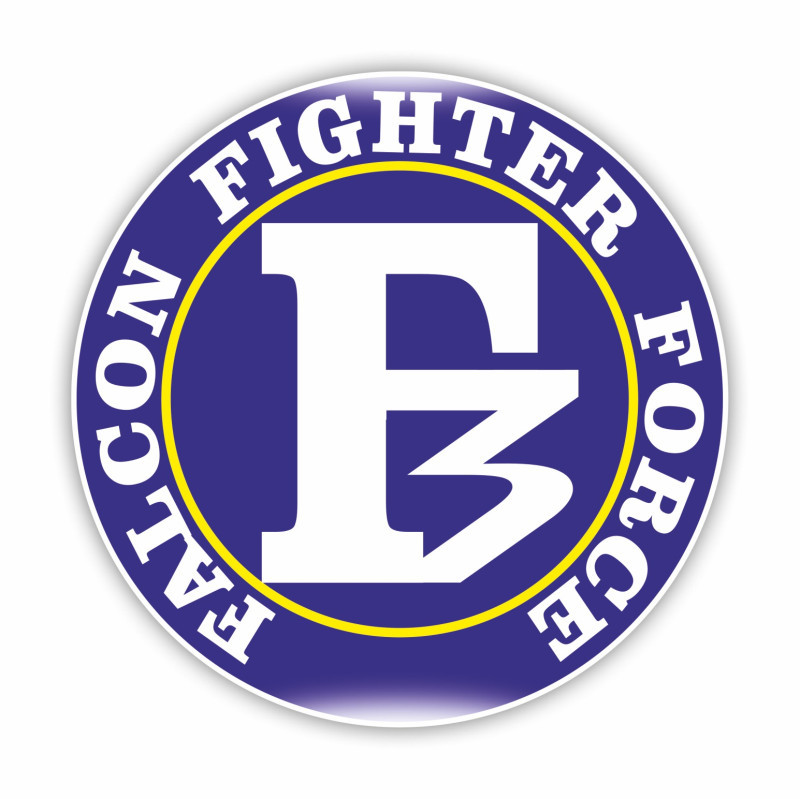 Falcon Fighter Force