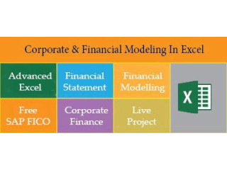 Financial Modeling Course in Delhi, 110034. Best Online Live Financial Analyst Training in Hyderabad by IIT Faculty , [ 100% Job in MNC]