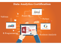 job-oriented-data-analyst-course-in-delhi-110060-best-online-live-data-analytics-course-in-delhi-ncr-by-iit-and-mnc-working-small-0