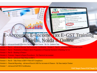 Tally Course in Delhi, 110010, [GST Update 2024] by SLA. GST and Accounting Institute, Taxation and Tally ERP Institute in Delhi,