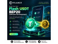 customized-flash-usdt-bep20-software-development-for-business-specific-requirements-small-0