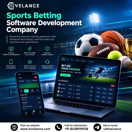 how-to-evaluate-a-sports-betting-software-development-service-provider-big-0
