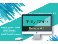 tally-institute-in-delhi-noida-gurgaon-free-tally-prime-erp9-with-gst-training-free-demo-classes-diwali-offer-23-free-job-placement-small-0